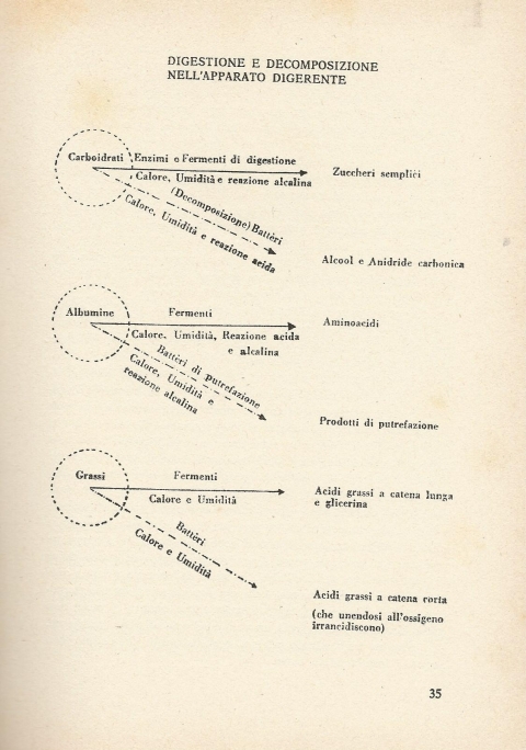 35 - NUOVA GERUSALEMME