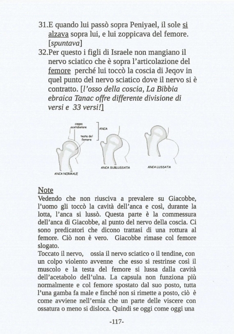 117 - NUOVA GERUSALEMME